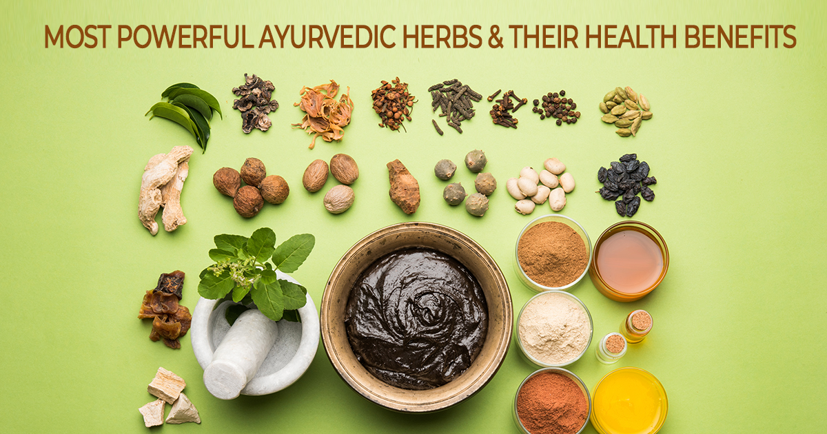Most Powerful Ayurvedic Herbs and Their Health Benefits