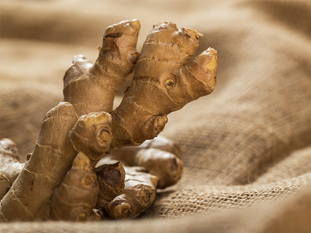 Ginger - Ayurvedic Herbs