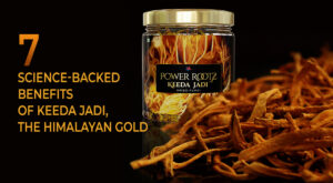 7 Science-backed Benefits of Keeda Jadi, the Himalayan Gold
