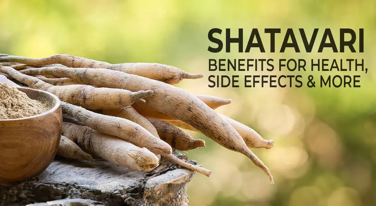 Shatavari Benefits For Health