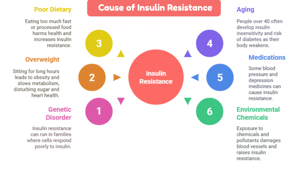 cause of insulin resistance