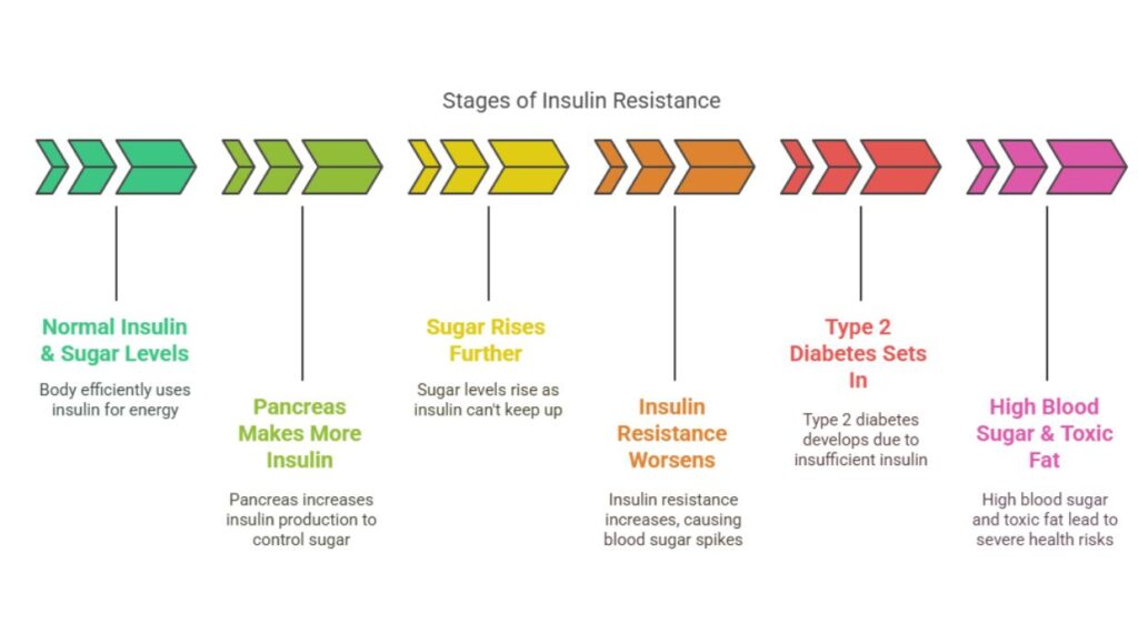 stages of insulin resistance