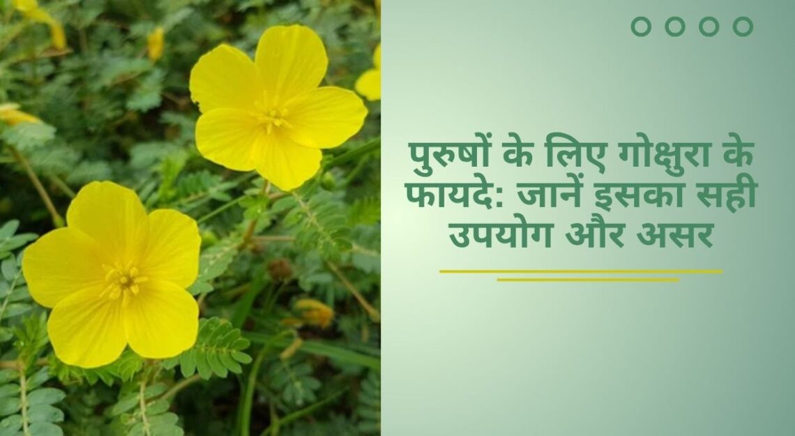 gokshura ke fayde
